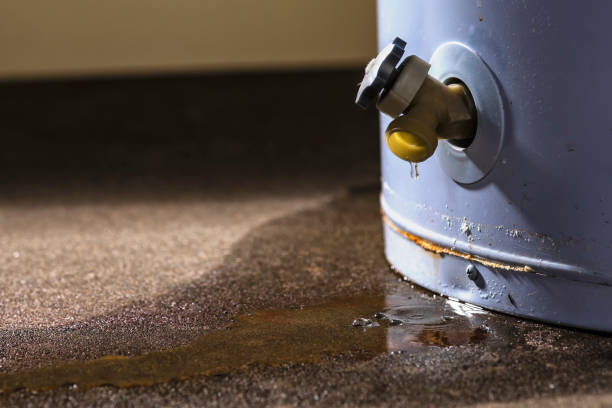 Reliable Homeacre Lyndora, PA Water damage restoration Solutions