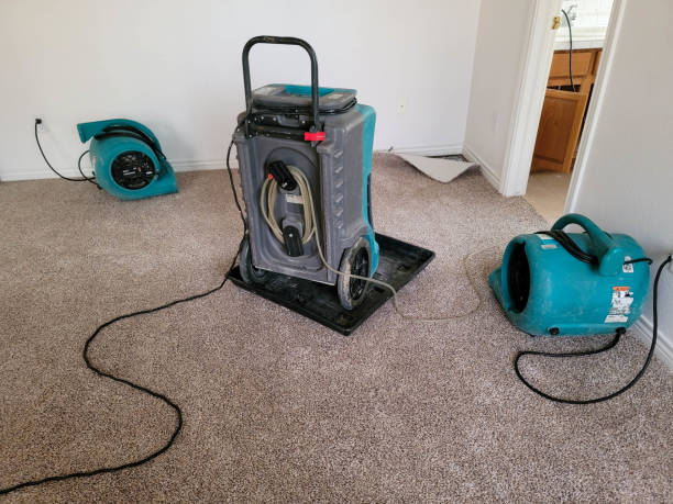 Best Commercial water damage restoration  in Homeacre Lyndora, PA