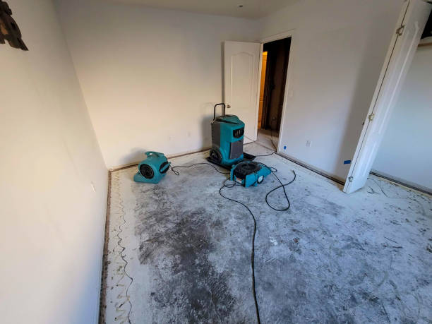 Best Water damage cleanup near me  in Homeacre Lyndora, PA