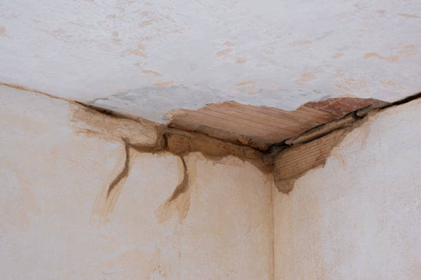 Best Ceiling water damage repair  in Homeacre Lyndora, PA