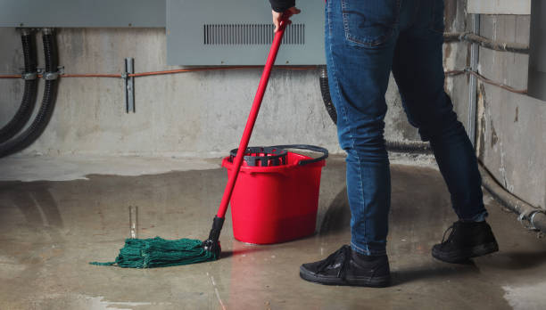 Best Water damage restoration company  in Homeacre Lyndora, PA