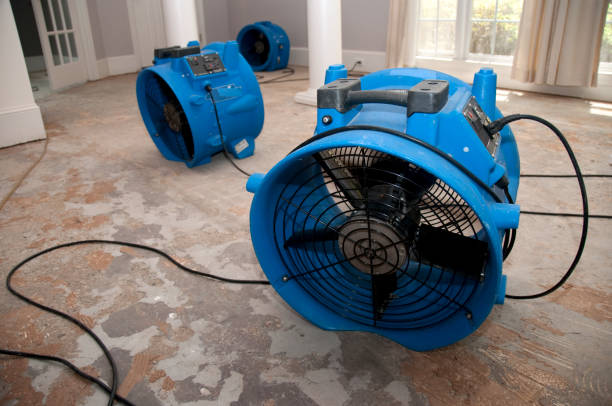 Best Emergency water damage restoration  in Homeacre Lyndora, PA