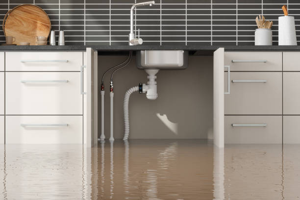 Best Flood damage cleanup  in Homeacre Lyndora, PA