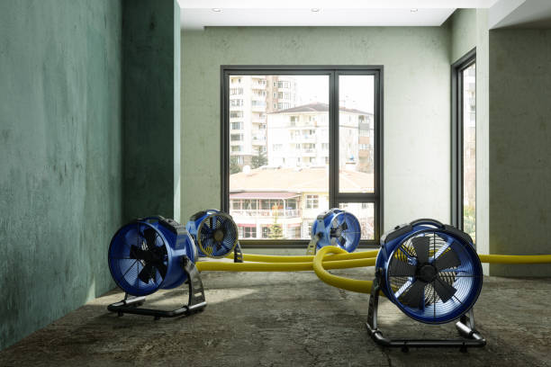 Water damage restoration insurance claims in Homeacre Lyndora, PA