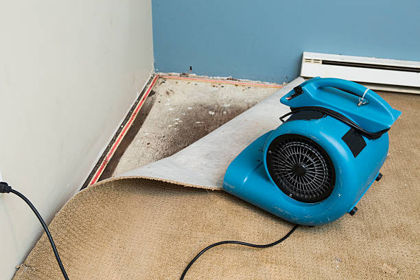 Best Commercial water damage restoration  in Homeacre Lyndora, PA